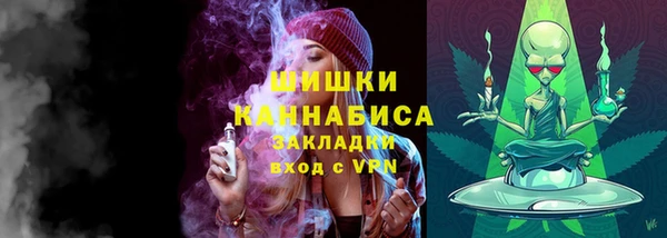 соль ск Белокуриха