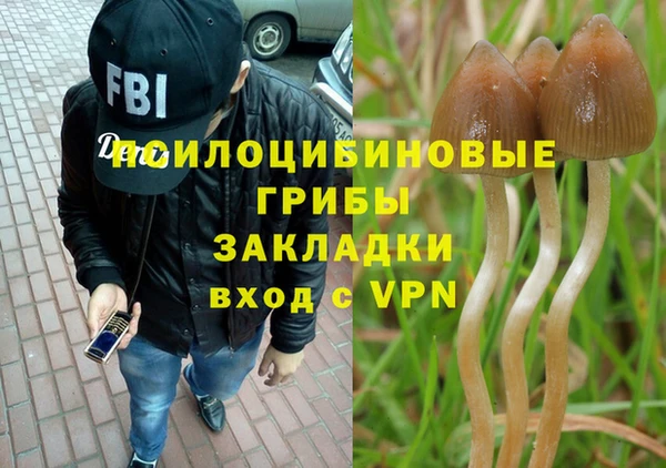 соль ск Белокуриха